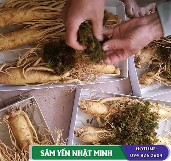 Cách chế biến nhân sâm