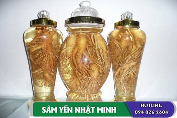 cách ngâm rượu nhân sâm chất lượng bỏ dưỡng