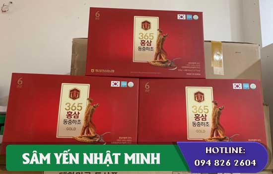 chống chỉ định khi dùng cao-hong-sam-dong-trung-ha-thao-365