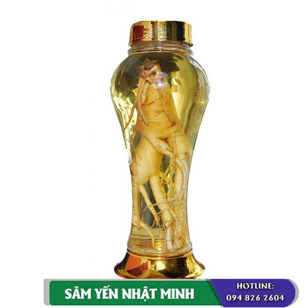 Chai rượu nhân sâm