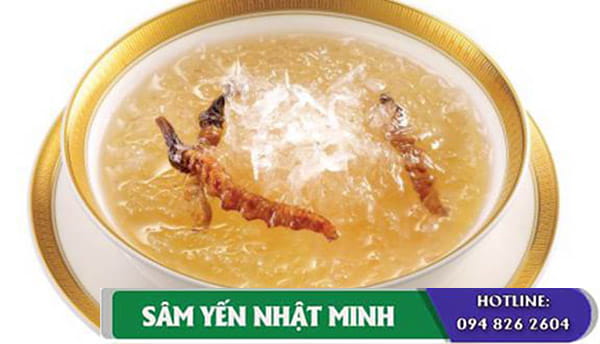 Có nên ăn yến sào không