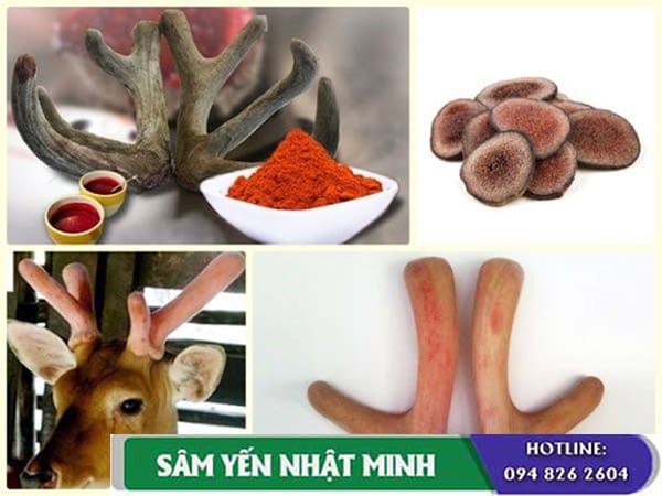 Công dụng của cháo nhung hươu đối với sức khỏe