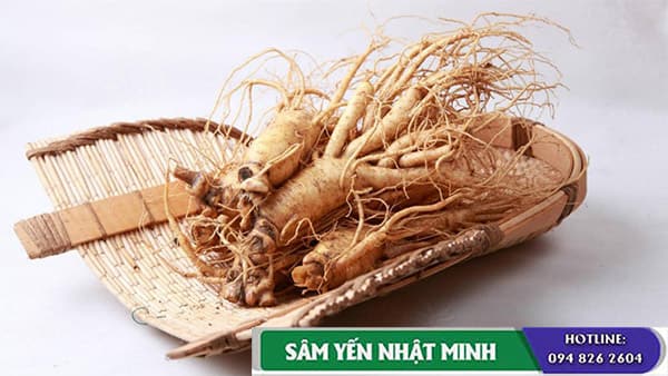 Công dụng nhân sâm với bệnh ung thư