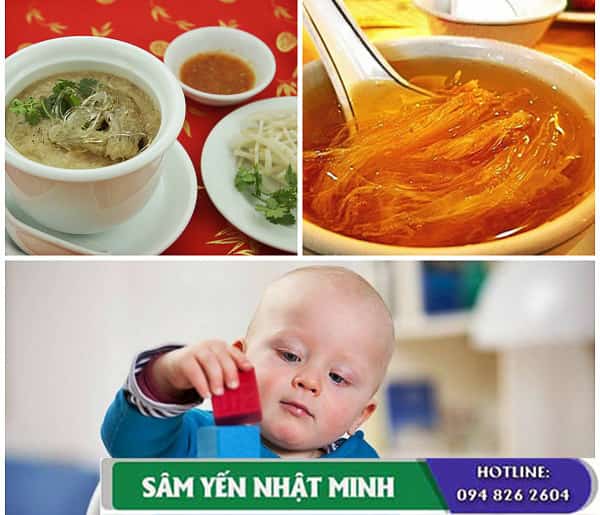 Công dụng yến sào đối với trí nào trẻ em