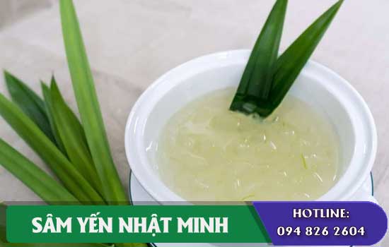 bảo quản yến chưng lá dứa hạt chia