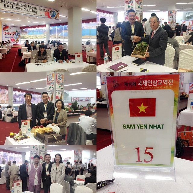 CÔNG TY NHÂN SÂM HÀN QUỐC