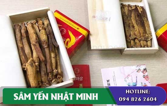 ai nên dùng Hồng Sâm Daedong củ khô 600g