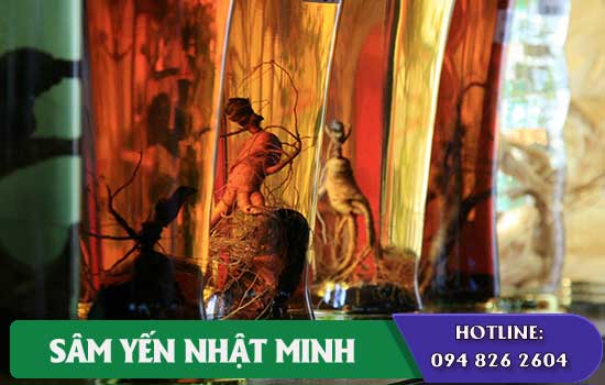 Rượu sâm punggi 75g ngon