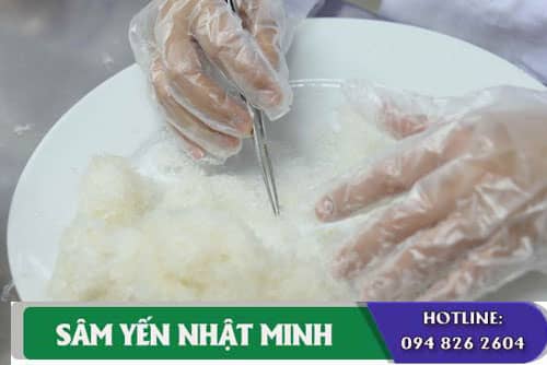 Làm sạch tổ yến