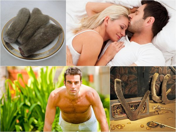 lợi ích từ nhung hươu