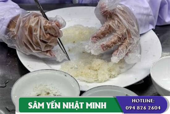Các lưu ý khi chế biến tổ yến