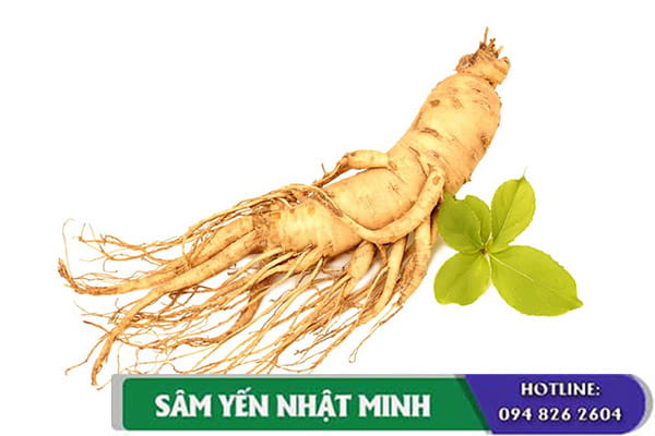 Lưu ý khi sử dụng nhân sâm