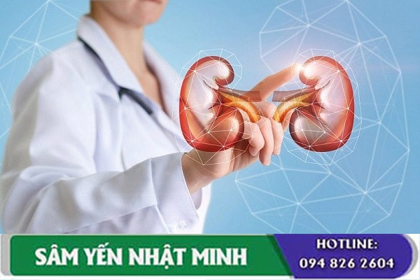 Một số công thức để bổ thận tinh sáp