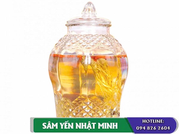 mua bình thủy tinh ngâm rượu ở đâu