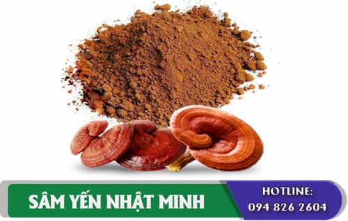 Nấm Linh Chi Đỏ Hàn Quốc cải thiện hệ miễn dịch