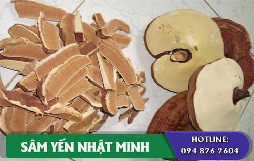 ngâm linh chi với rượu