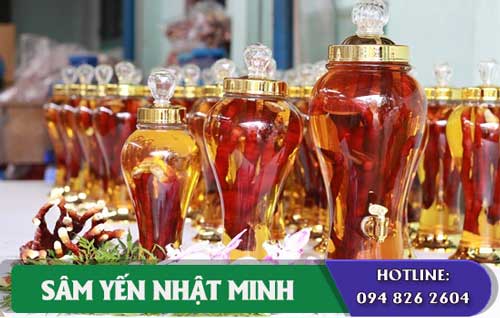 uống nâm linh chi tốt cho người già