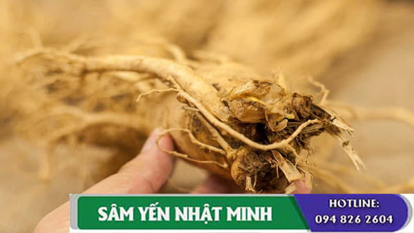 Nhân sâm 6 năm tuổi quý hiếm