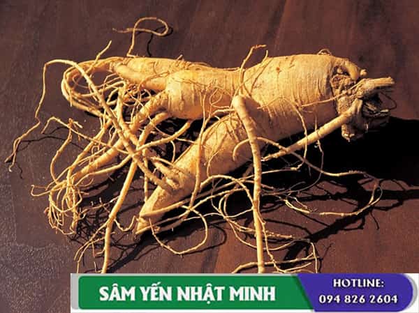 nhân sâm dùng cho bệnh nhân ung thư