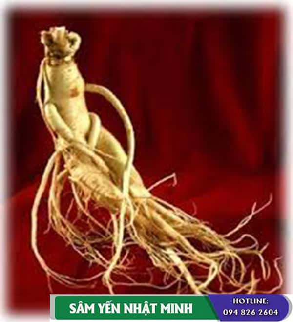 Nhân Sâm Hàn Quốc 6 năm tuổi