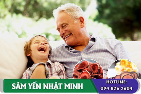 Nhung hươu có tác dụng tốt đối với hệ tim mạch của người già