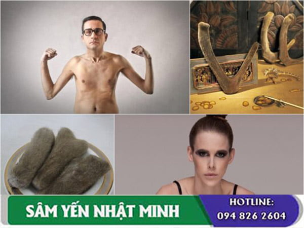 Nhung hươu – Giải pháp cho người gầy yếu, mệt mỏi