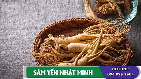 Những lưu ý khi sử dụng