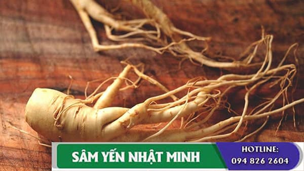 Những người không nên dùng nhân sâm