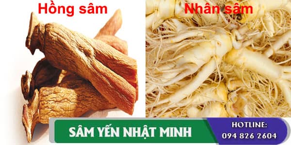 phân biệt hồng sâm và nhân sâm hàn quốc