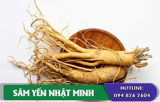 nhan sam tang testosteron nam