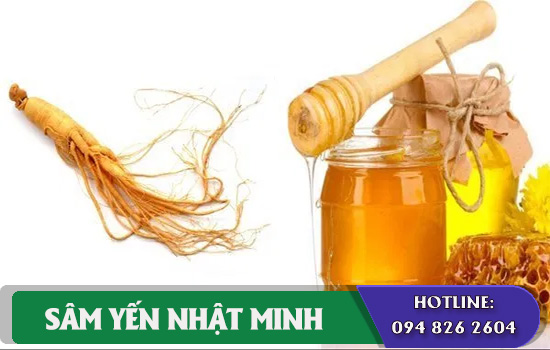 nhân sâm tươi ngâm mật ong