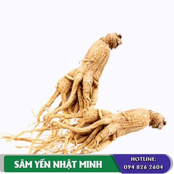 Tác dụng nhân sâm 6 năm tuổi