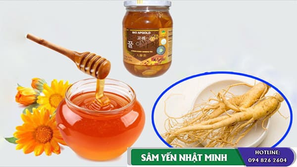 Tác dụng nhân sâm ngâm mật ong