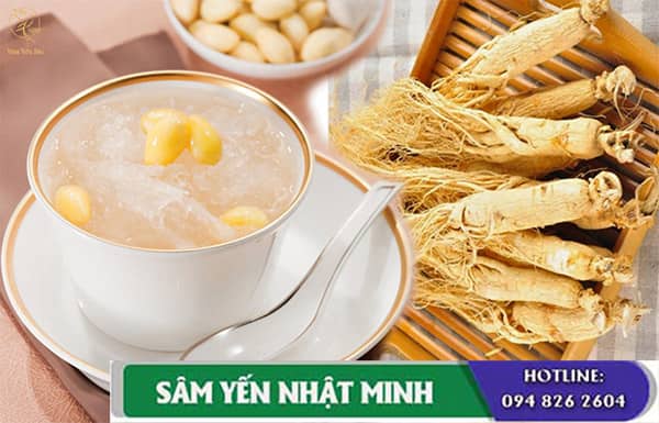 Tác dụng tổ yến chưng nhân sâm