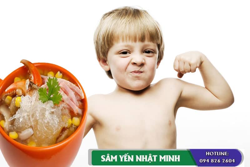 Tác dụng tổ yến sào tiềm cua