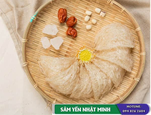 yến sào tươi