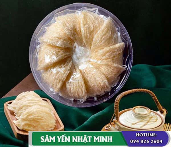 Yến sào khánh hòa