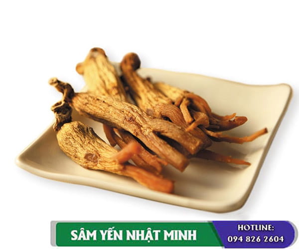 Thảo dược hồng sâm