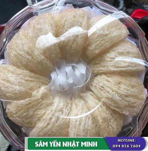 tổ yến để được bao lâu
