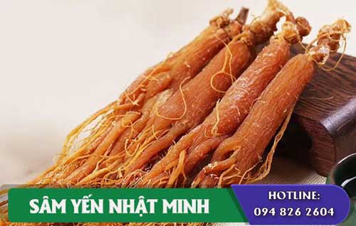 lưu ý khi dùng trà hồng sâm 