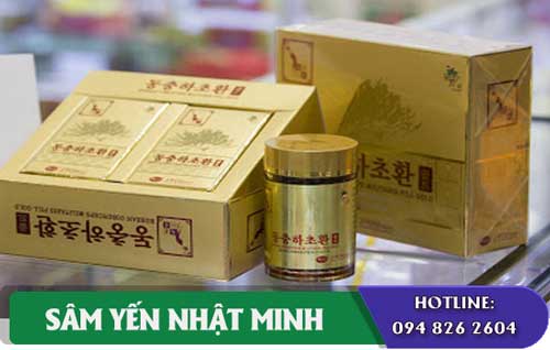 vien dong trung ha thao kgs boi bo suc khoe