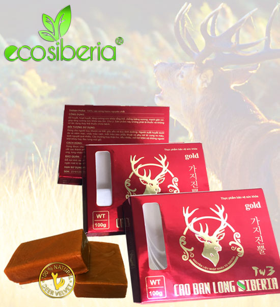 Cao ban long Siberia nguyên chất 100% uy tín chất lượng