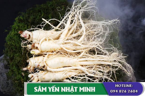 Nhân Sâm Tươi 4 Củ 1Kg