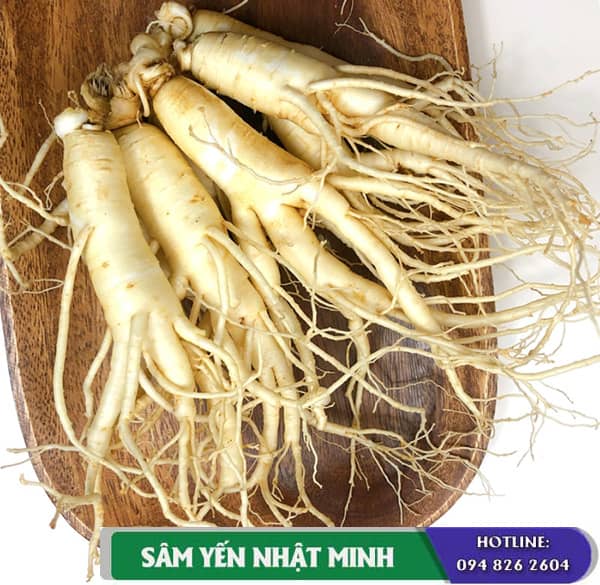 Nhân Sâm Tươi 4 Củ 1Kg