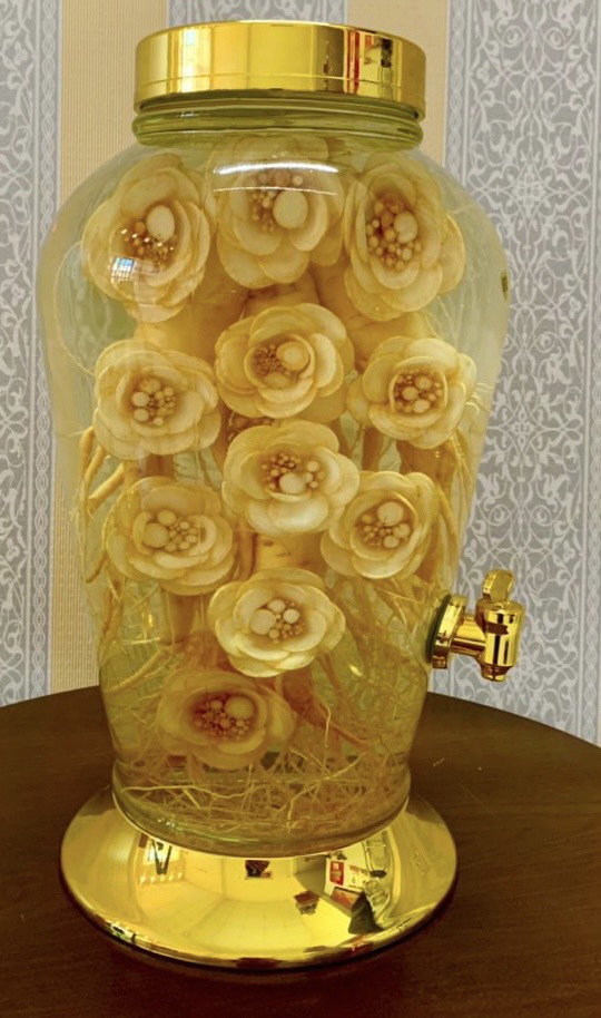 RƯỢU HOA SÂM HÀN QUỐC BÌNH 5.5 LÍT