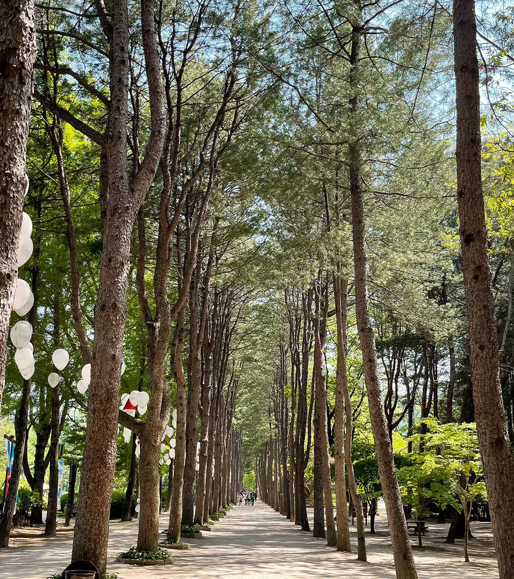 SEOUL - NAMI - EVERLAND