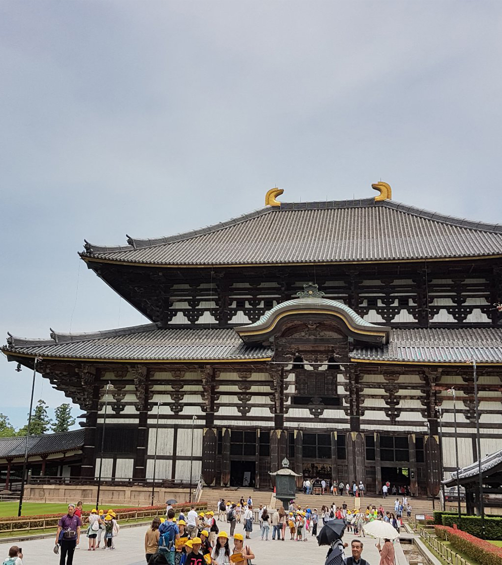 OSAKA - NARA - KYOTO - NÚI PHÚ SĨ - TOKYO