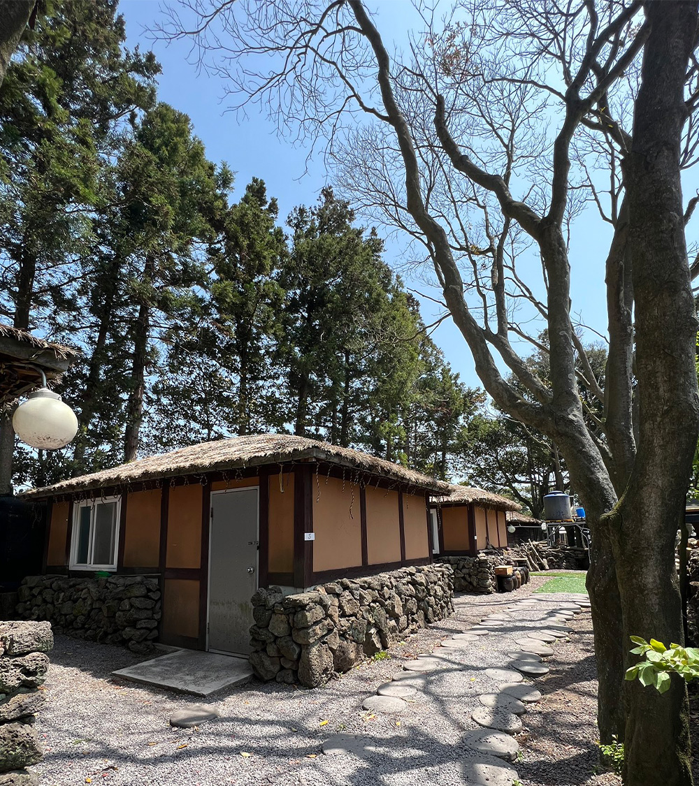 SEOUL - JEJU - CAMELLIA HILL - EVERLAND