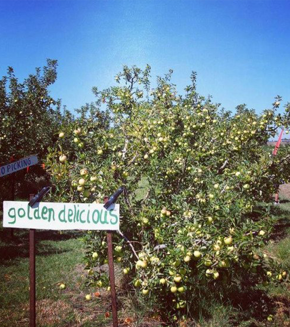 MELBOURNE - BALLARAT - BACCHUS MARSH - CANBERRA - SYDNEY