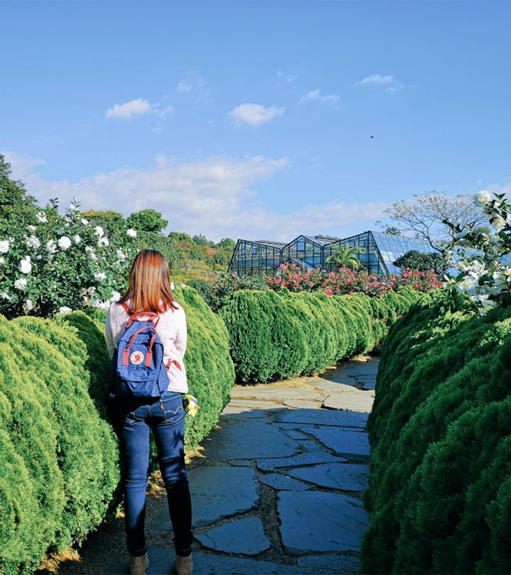 SEOUL - JEJU - CAMELLIA HILL - EVERLAND